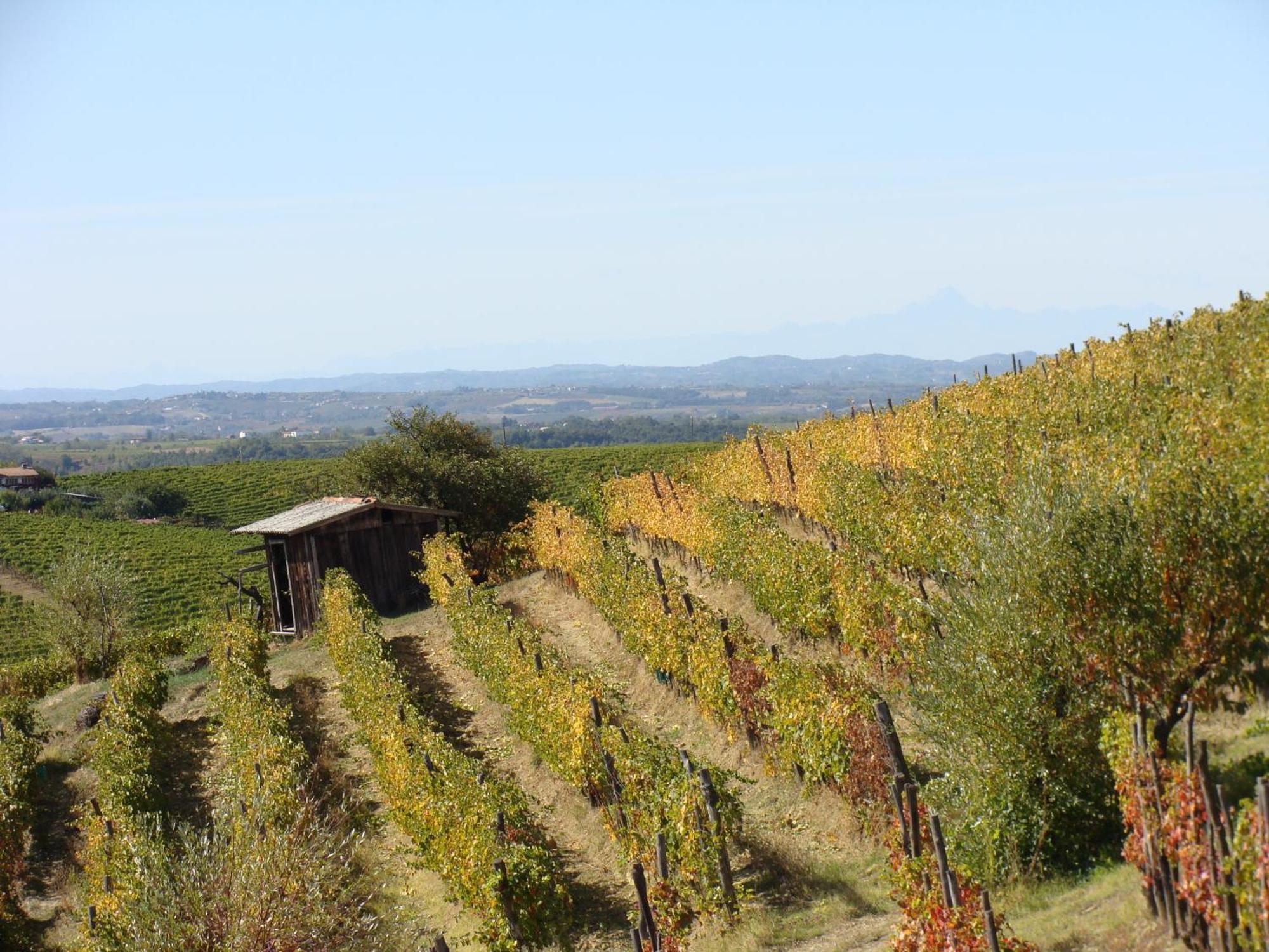 Agriturismo Cascina Degli Ulivi Novi Ligure Exterior photo